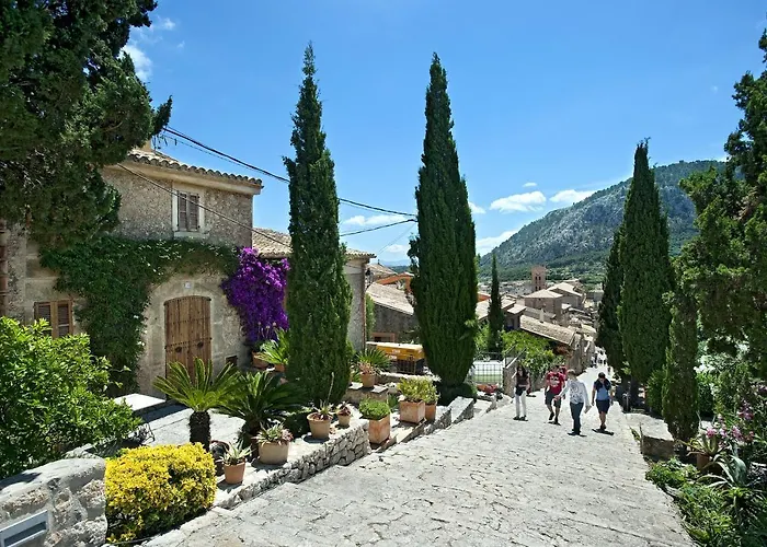 Owl Mairata - Great Garden And Pool Pollenca