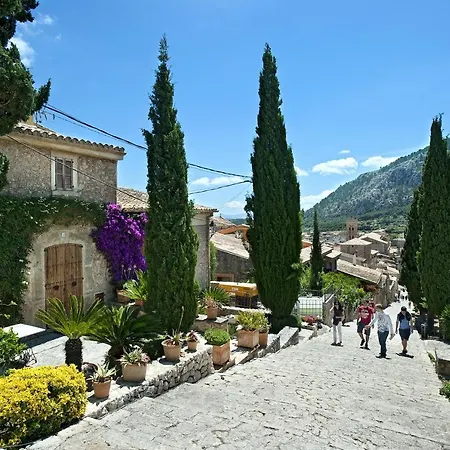 Owl Mairata - Great Garden And Pool Pollensa